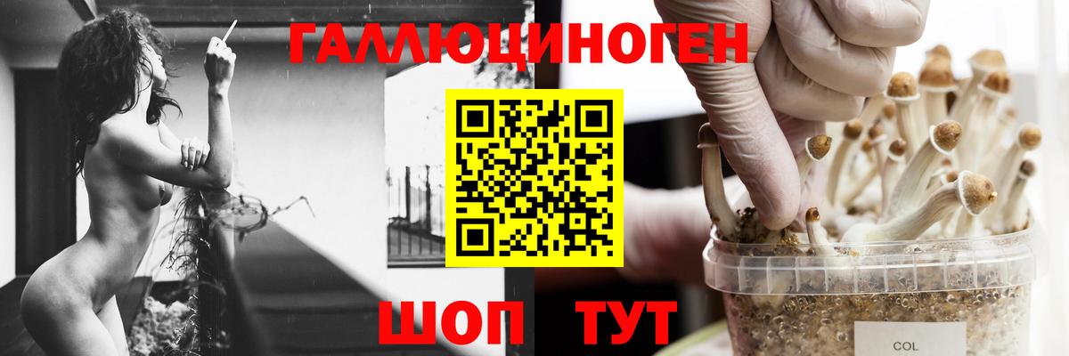 Галлюциногенные грибы Magic Shrooms  Галлюциногенные грибы Cubensis  Вход с VPN  Губаха 