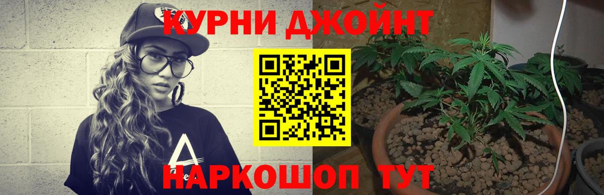 Бошки Шишки семена  Вход с VPN  Губаха  МАРИХУАНА планчик 